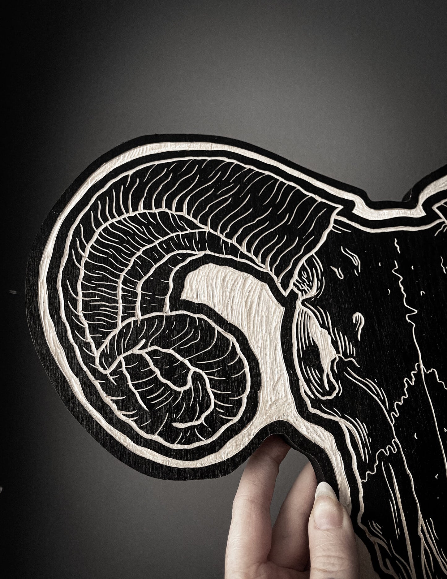 Ram Skull Woodcut