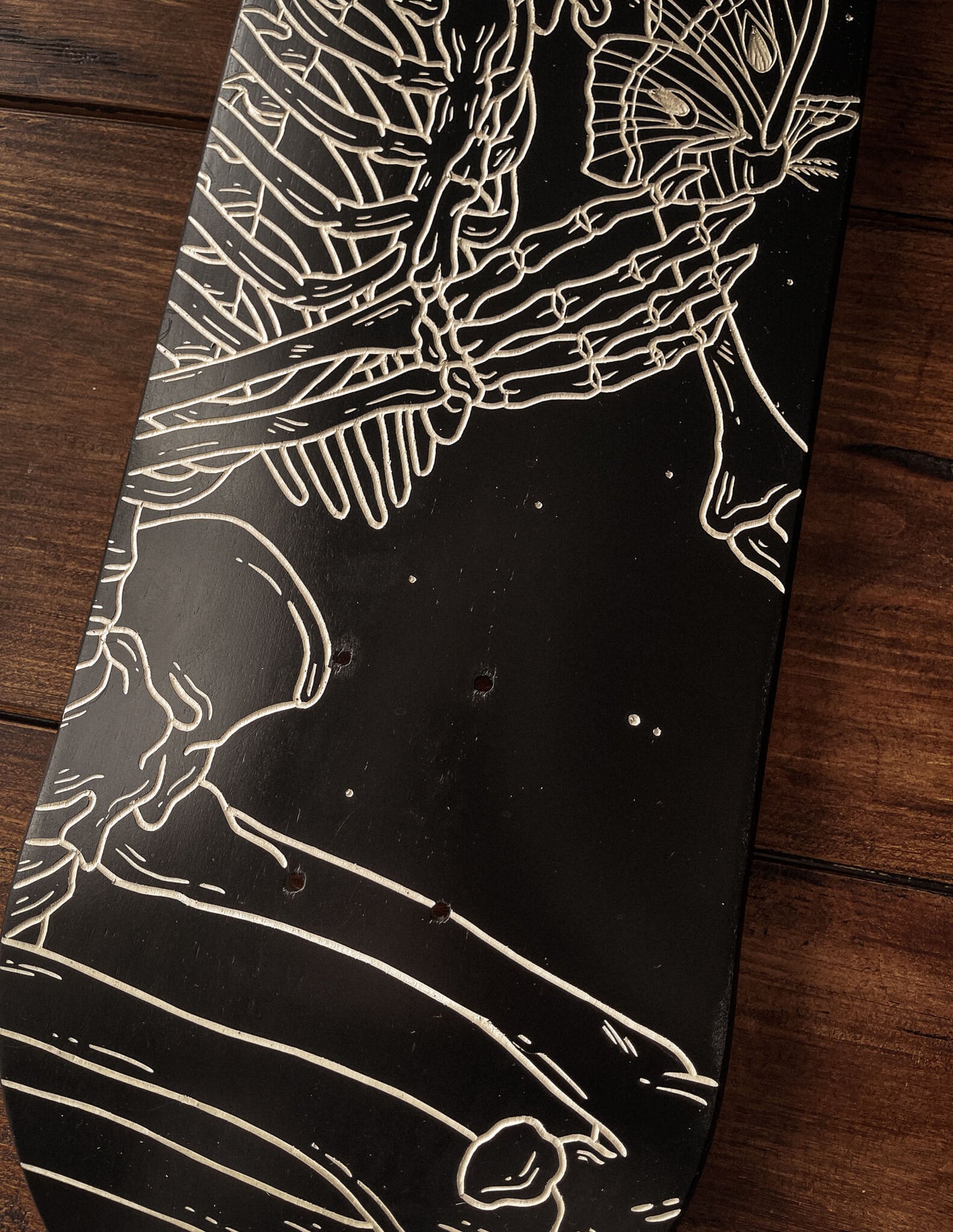 Moth skeleton Skate Deck